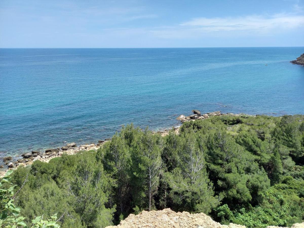La Pantoufle Verte Montauriol  Luaran gambar