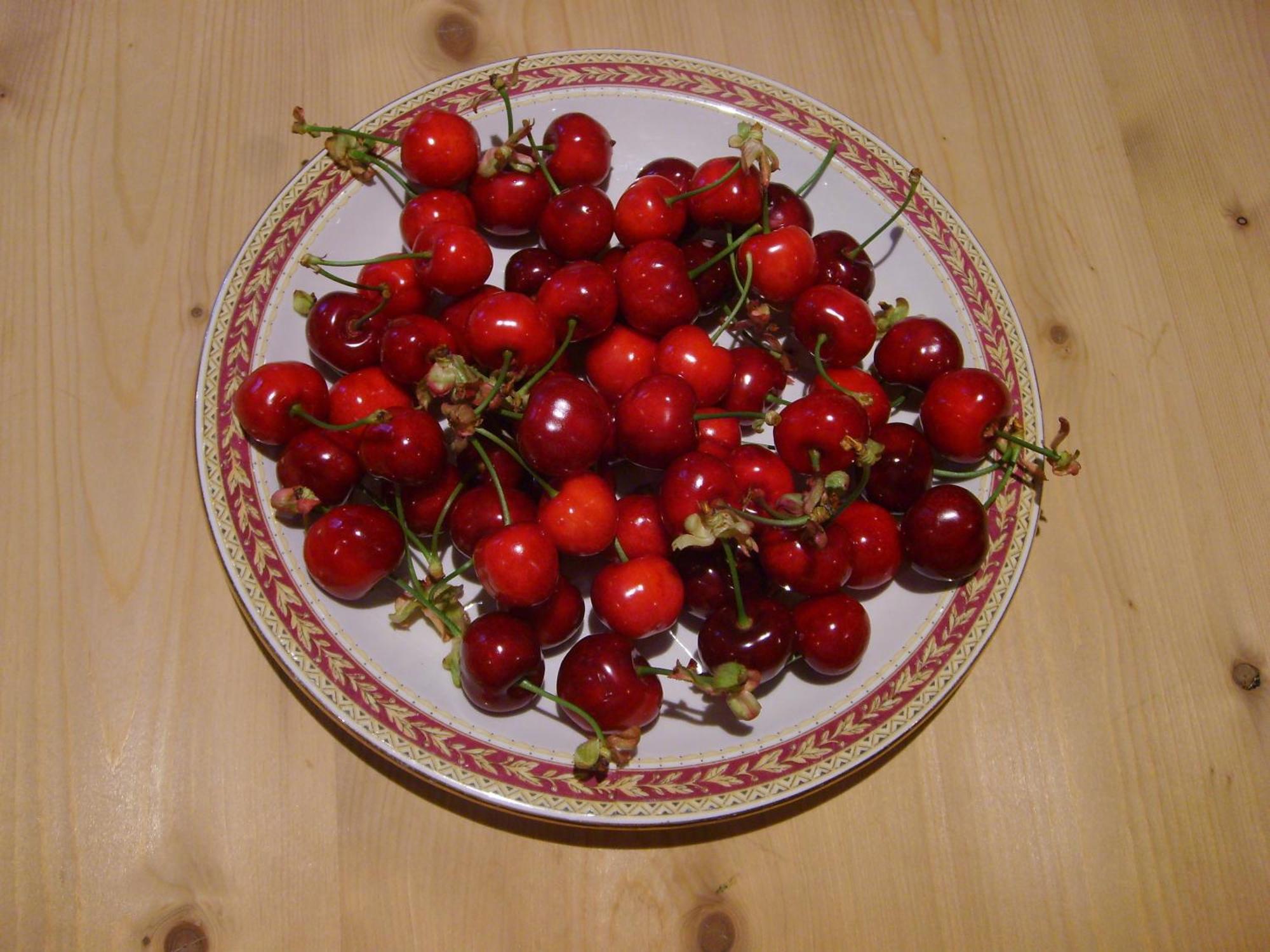 La Pantoufle Verte Montauriol  Luaran gambar