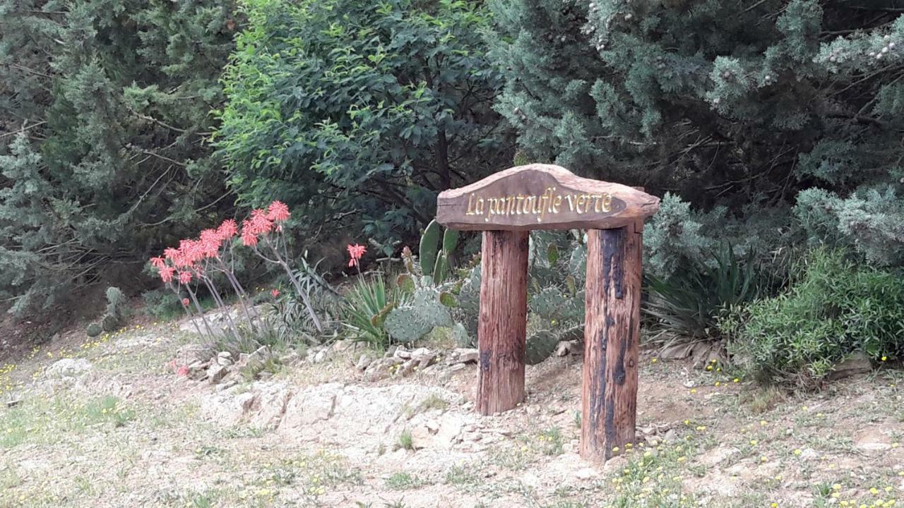 La Pantoufle Verte Montauriol  Luaran gambar