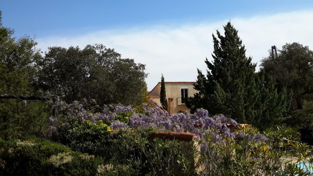 La Pantoufle Verte Montauriol  Luaran gambar